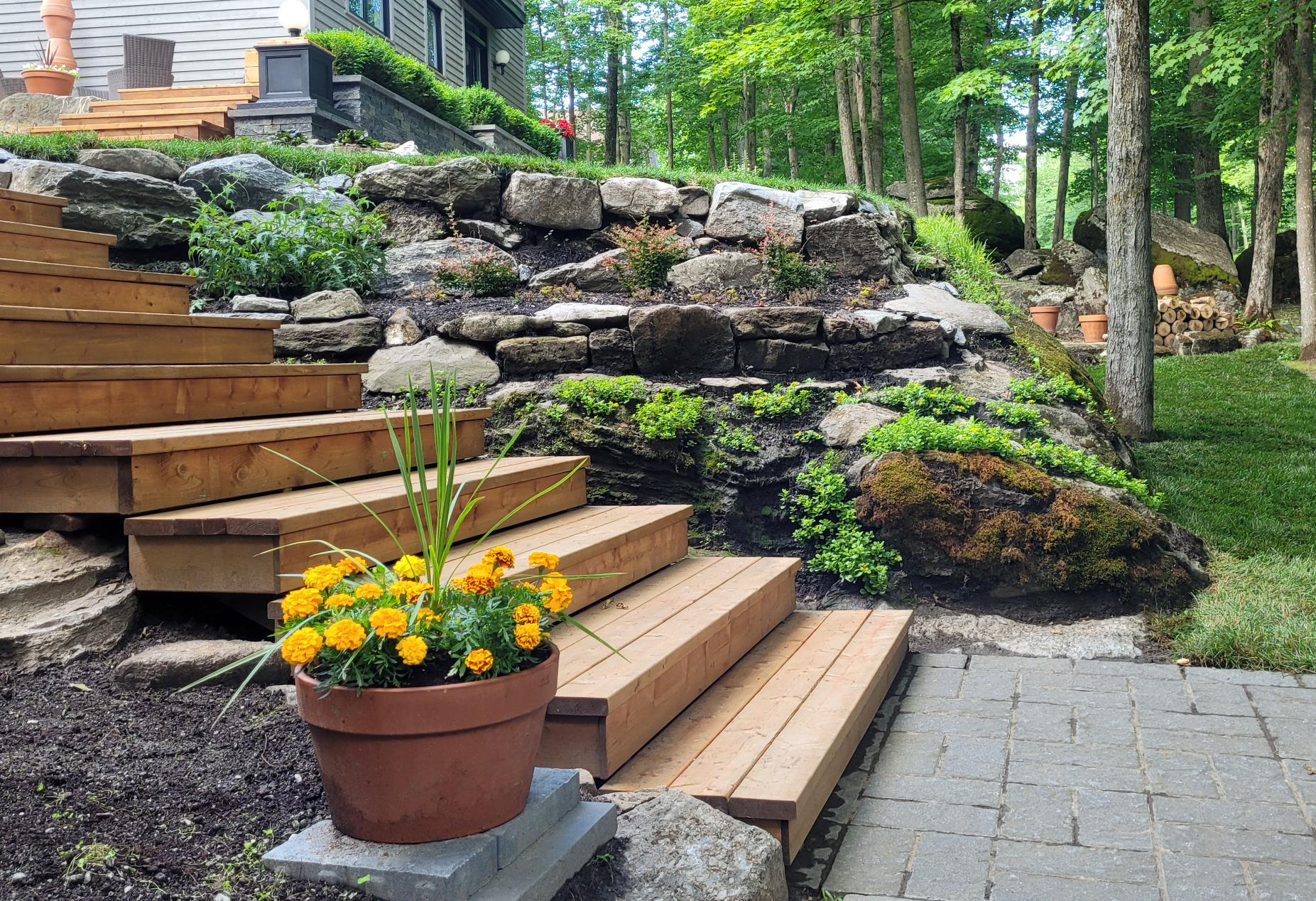 Exterior landscape